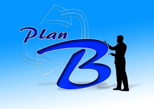 华体会平台-中国篮球职业俱乐部财务风险控制研究，篮球俱乐部企业组织结构图